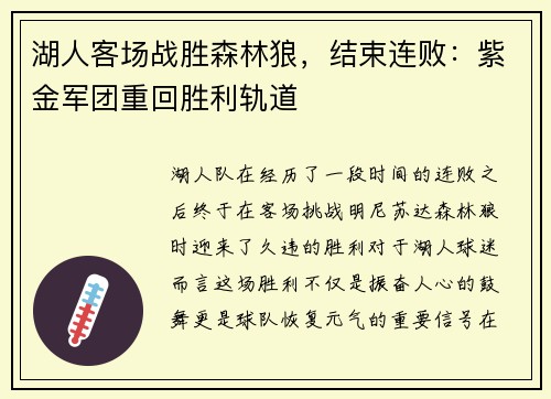 湖人客场战胜森林狼，结束连败：紫金军团重回胜利轨道