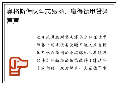 奥格斯堡队斗志昂扬，赢得德甲赞誉声声