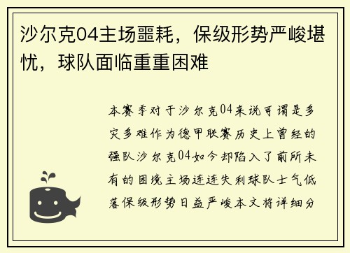 沙尔克04主场噩耗，保级形势严峻堪忧，球队面临重重困难