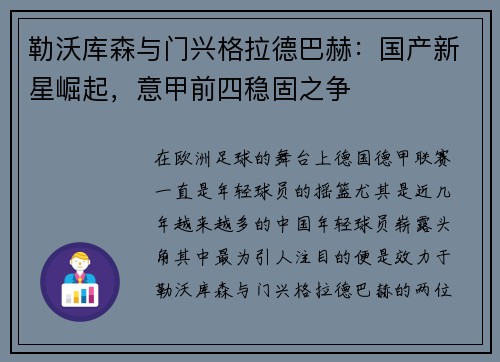 勒沃库森与门兴格拉德巴赫：国产新星崛起，意甲前四稳固之争